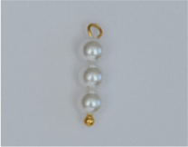 CHARM039