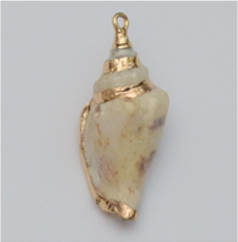CHARM229